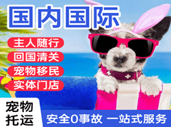 芒市航空邮寄国际宠物托运 【国